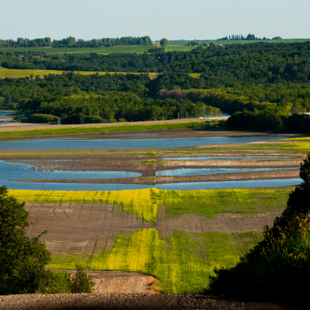 A flooded farming landscape.